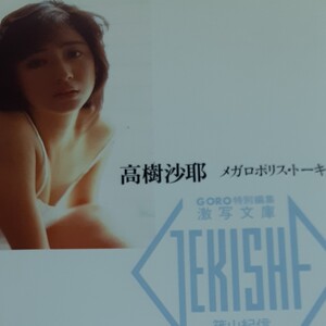 激写文庫 高樹沙耶 メガロポリス・トーキョー 写真集 篠山輝信