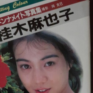 桂木麻也子 マドンナメイト写真集