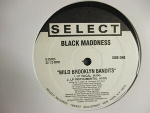 Black Maddness ： Wild Brooklyn Bandits 12'' // 90's New School HipHop Classics! / 落札5点で送料無料