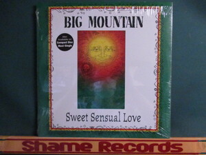 Big Mountain ： Sweet Sensual Love 12'' // 90's Reggae Sweet / 落札5点で送料無料