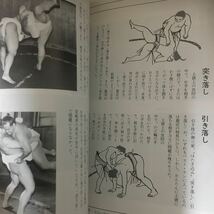 ☆本相撲「ザ大相撲 93-94年版」貴乃花 若乃花 曙太郎 小錦_画像9
