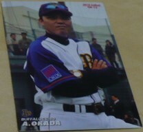 2010カルビープロ野球チップスカード第2弾TM(チームメンバー)12岡田彰布監督(オリックス)現阪神タイガース監督　ベースボールトレカ