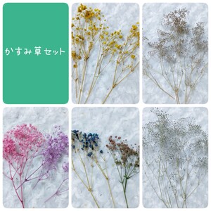 花材セット かすみ草アソート