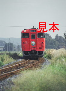 鉄道写真、645ネガデータ、137071710007、キハ40系（1004）（烏山線全線祝開通80周年ヘッドマーク）JR烏山線、下野花岡～宝積寺2003.10.02