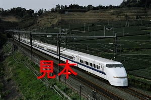 鉄道写真、35ミリネガデータ、137873840009、300系（J17編成、AMBITIOUS JAPAN!ステッカーあり）JR東海道新幹線、掛川～静岡、2003.11.27
