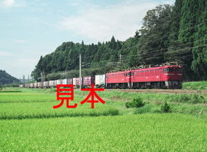 鉄道写真、645ネガデータ、136771700004、ED75-111＋ED75＋貨物、JR東北本線、白河～久田野、2003.09.11、（4362×3194）