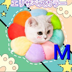 人気です♪エリザベスカラー Mサイズ 犬/猫 傷舐め防止 術後ケア 保護カバー