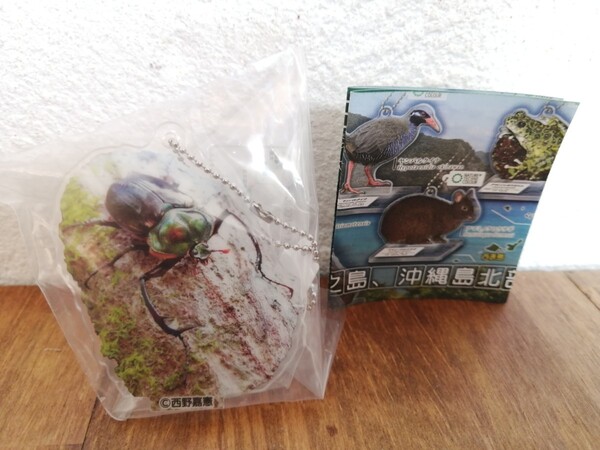 ヤンバルテナガコガネ アクリルマスコット いきもん