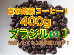 スペシャルティコーヒー!ブラジル セラード農園 400g Qグレード83.58点!