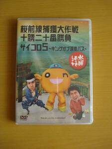 新品 水曜どうでしょうDVD第11弾 大泉洋 鈴井貴之 国内正規品