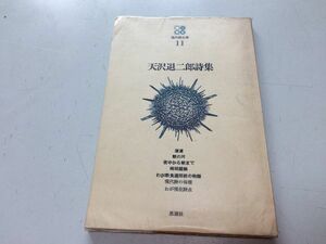 ●P030●天沢退二郎詩集●天沢退二郎●思潮社●現代詩文庫●道道朝の河夜中から朝まで時間錯誤わが断食週間前の物語現代詩の論理わが