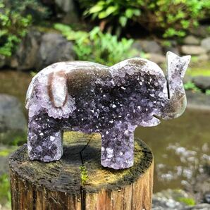 アメジスト　cute 象さん　紫水晶　ウルグアイ産　elephant 