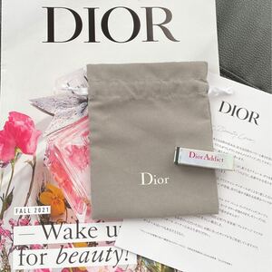 Dior ディオール 紙袋 ショップ袋 Christian Dior クリスチャンディオール