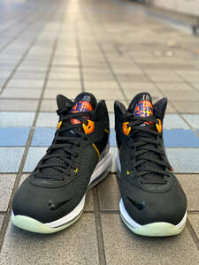 us12 限定コレクション【NIKE LeBron8×SPACE JAM 】 ナイキ レブロン8 スペースジャム LooneyTunes ルーニーテューンズ スニーカー