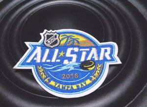 空黄◆新品NHL　ALL STAR オールスター　TAMPA BAY タンパベイ2018アイスホッケーワッペン◎アメリカ　スポーツ◆常夏　南国トロピカル◇