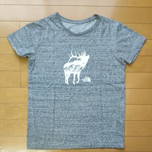THE NORTH FACE ノースフェイス グレー 半袖Tシャツ