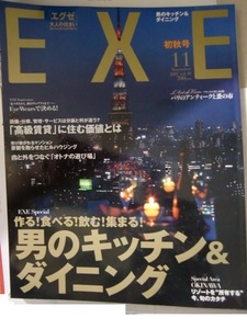  magazine EXE( Exe ) NO.10 adult house navy blue shell ju magazine system soft . number . month issue magazine Heisei era 19 year 11 month the first autumn number 