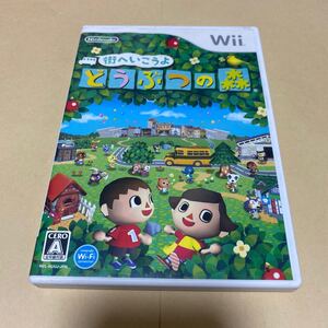 街へいこうよどうぶつの森 Wii
