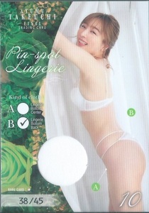 竹内渉　4　FINAL　　ピンスポランジェリーカード　　Pin-spot Lingerie　10 B　　45枚限定