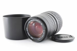 SIGMA シグマ AF 100-300mm f4.5-6.7 DL Lens 100-300 f4.5-6.7 Minolta ミノルタ 855068