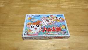 *GBA[ Tottoko Hamutaro 4.... large line ....] box * manual * seal attaching / nintendo /GAMEBOY ADVANCE/ Game Boy Advance /ADV/ retro game 