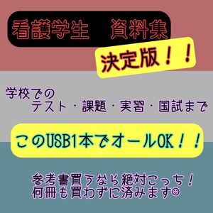 看護学生 国家試験 実習 USB