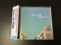 ■川嶋あい／絶望と希望　シングルCD_画像1