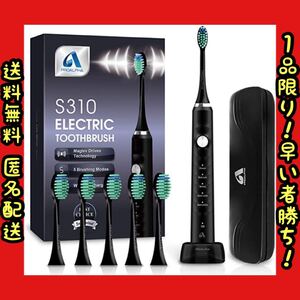 電動歯ブラシ 音波歯ブラシ ソニック USB充電式 IPX7防水 替えブラシ5本