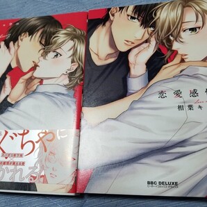 恋愛感情論 1.2巻セット 相葉キョウコ