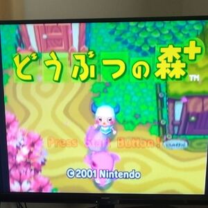 ゲームキューブ用 どうぶつの森+