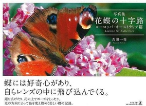 写真集 花蝶の十字路 ヨーロッパ・オーストラリア篇 昆虫図鑑 海外の標本参考資料に♪