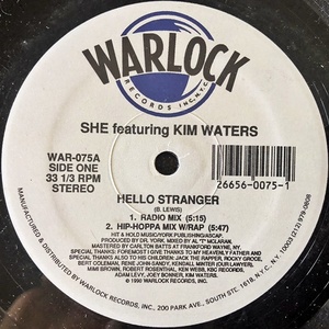 【90's 12】She Featuring Kim Waters / Hello Stranger