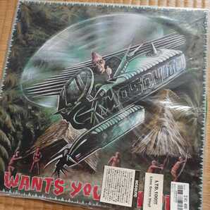 ★激安激レア MOSQUITO/wants your blood スラッピング!サイコビリー超名盤!ltd 100 初回 手書き ナンバリング green vinyl