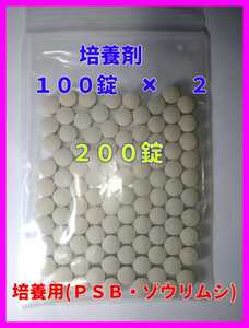 ゾウリムシ 培養用種水 54mlタレビン2本ビール酵母50錠 No01 Psb エビオス めだか 金魚 針子 卵 ミジンコ 水質浄化 たれびん 日本代購代bid第一推介 Funbid ゾウリムシ 培養用種水 54mlタレビン2本ビール酵母50錠 No01 Psb エビオス めだか 金魚 針子 卵 ミジンコ 水質浄化 たれびん 日本代購代bid第一推介 Funbid