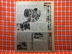 CN19943◆切抜き◇松田聖子郷ひろみ笑福亭鶴瓶星由里子中山仁◇第8回オールスター寒中水泳・水着・高級コールガールの殺人・母の誤算1千万