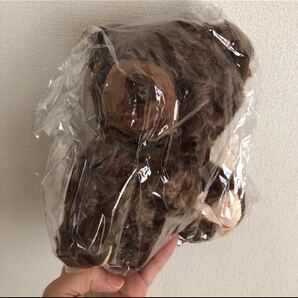 値下げ中 抱っこベア くま ポシェット バッグ テディベア アプリコット ココア ぬいぐるみ