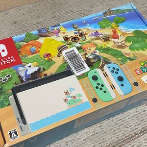 Nintendo Switch あつまれどうぶつの森