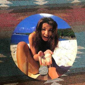 鈴木紗理奈 お台場冒険王2008 めちゃイケ海の家 うちわ