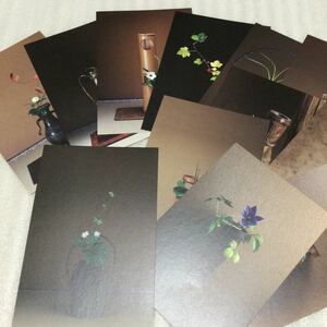 .. company Izumi book@.. letter series heart. flower 12 pieces set 