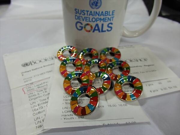  SDGs ピンバッジ 10個(7700円税込）（送料無料）（国連ブックショップ購入）（新品未使用）ラバークラスプ付素材（保存袋付10枚き）UN20