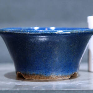 ゆうき祥石 盆栽鉢 直径8cm 高さ4cm (19)