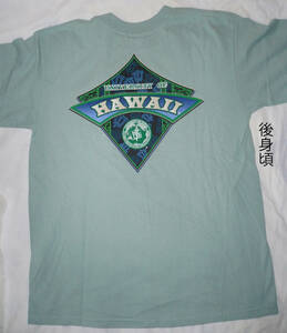 ハワイ大学Tシャツ　正規品　校章入り　綿100% 厚手　サイズM　地色薄緑