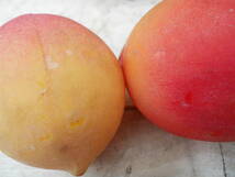 M8074 ビンテージ 造果物 フルーツ りんご 葡萄 小ぶりメロン レモン 桃 原寸大 ゆうパック100サイズ (0309) _画像8