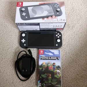 Switchライト マインクラフト ソフト付き