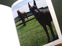 Celebrity Dogs Kamil Salah Bruce Weber ブルース・ウェーバー 動物写真 犬_画像5