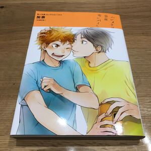 ハイキュー 同人誌 菅原×日向