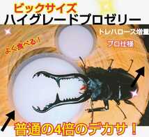 65グラム超ビックサイズ！ハイグレードプロゼリー☆特大50個☆成分に拘わり抜いた最高峰！産卵促進・長寿・体力増進に！トレハロース増量 _画像5