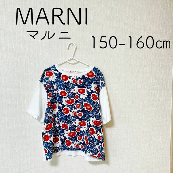 MARNI マルニ　Tシャツ　150 160