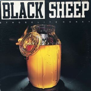 Black Sheep Strobelite Honey 12インチ レコード 5点以上落札で送料無料S