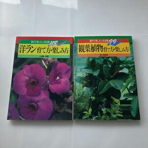 ※◇送料無料◇ 観葉植物の育て方・楽しみ方 皆川清彦 ／ 洋ランの育て方・楽しみ方 小田善一郎 ナツメ社 ♪G3